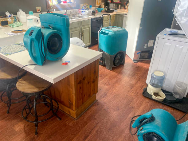 Best Water damage restoration experts  in Shandon, CA