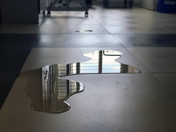 Best Water damage restoration services  in Shandon, CA