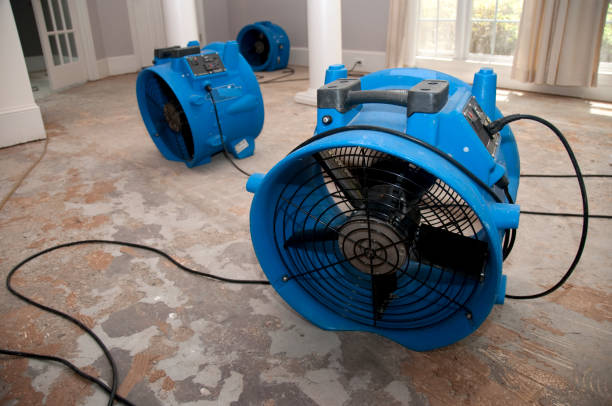Best Mold removal after water damage  in Shandon, CA