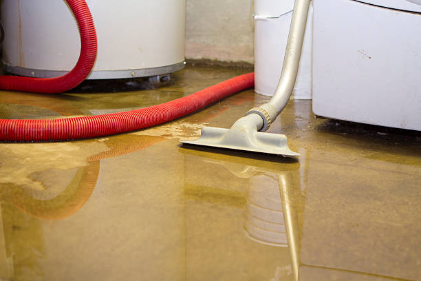Best Sewage cleanup and water damage restoration  in Shandon, CA