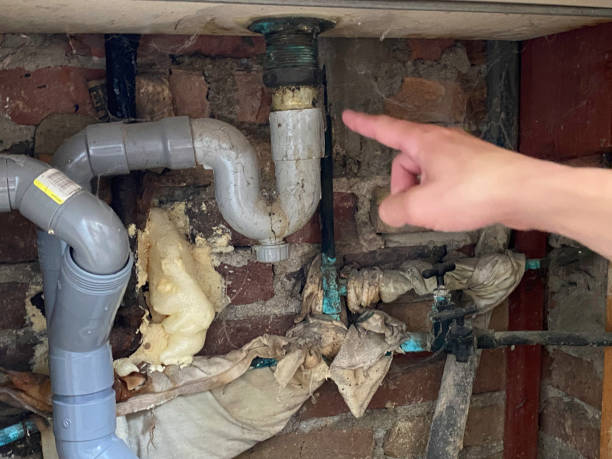 Best Ceiling water damage repair  in Shandon, CA