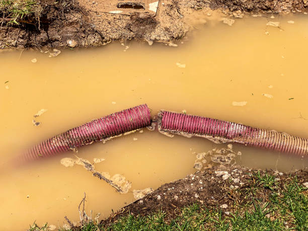 Best 24-hour water damage restoration  in Shandon, CA